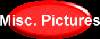 object1.gif (2299 bytes)